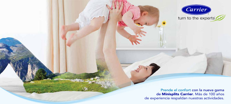 Precios distribuidor aire acondicionado minisplit carrier